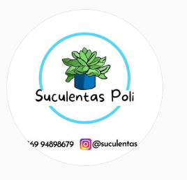 suculentaspoli