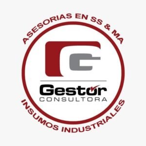 Logo Gestor Consultora