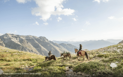 Parque Cuenca Andina: el corazón nativo del Maule abre sus puertas al mundo